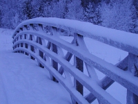 Snow Bridge